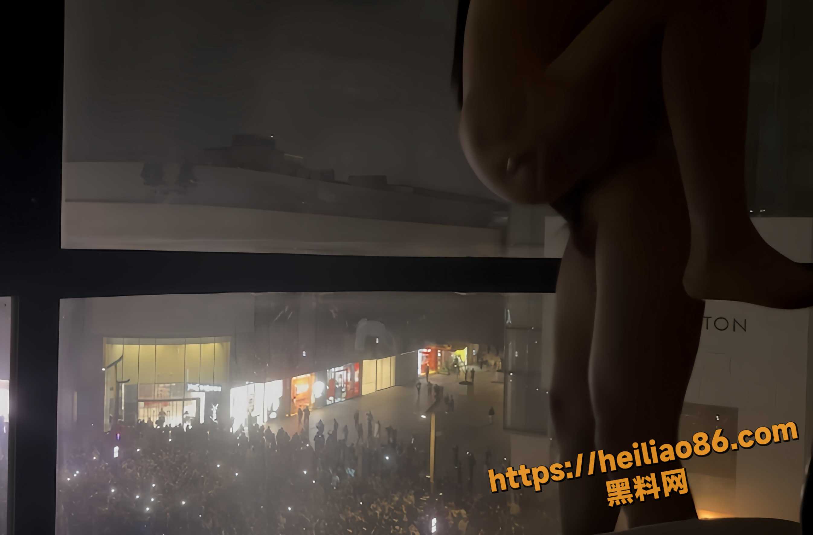 母狗8
