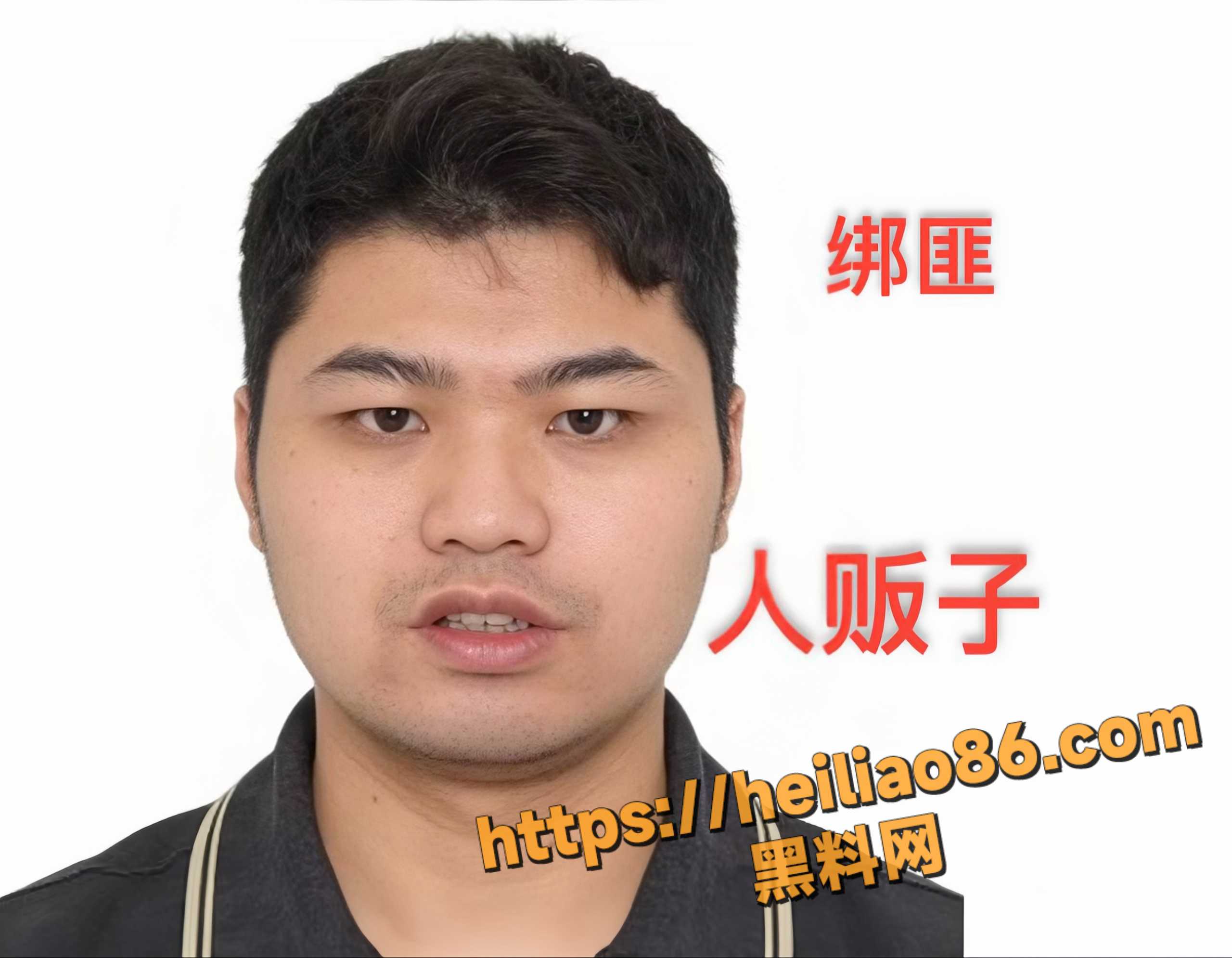 仝远景不雅视频14