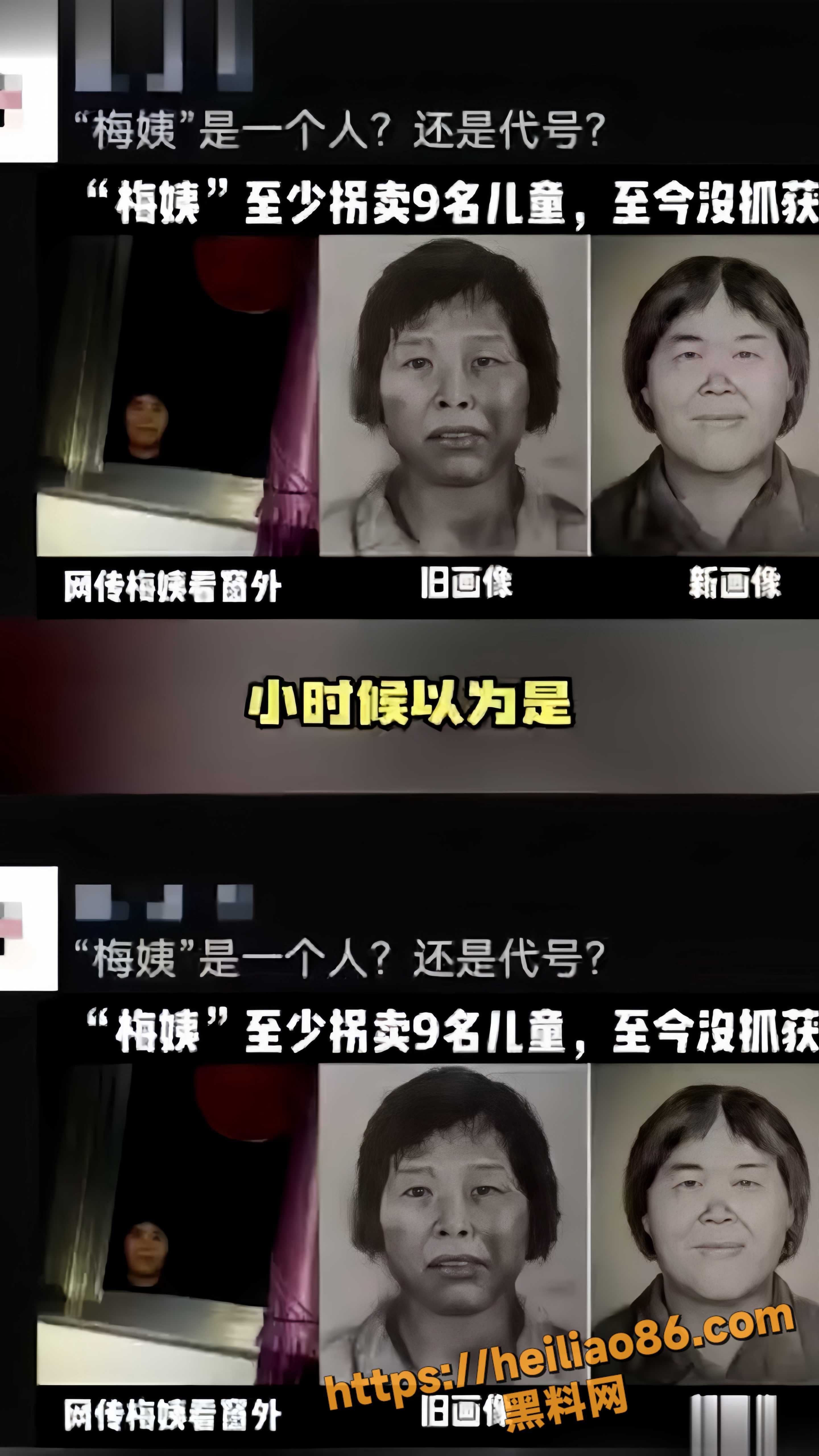 广州警方通报梅姨落网1
