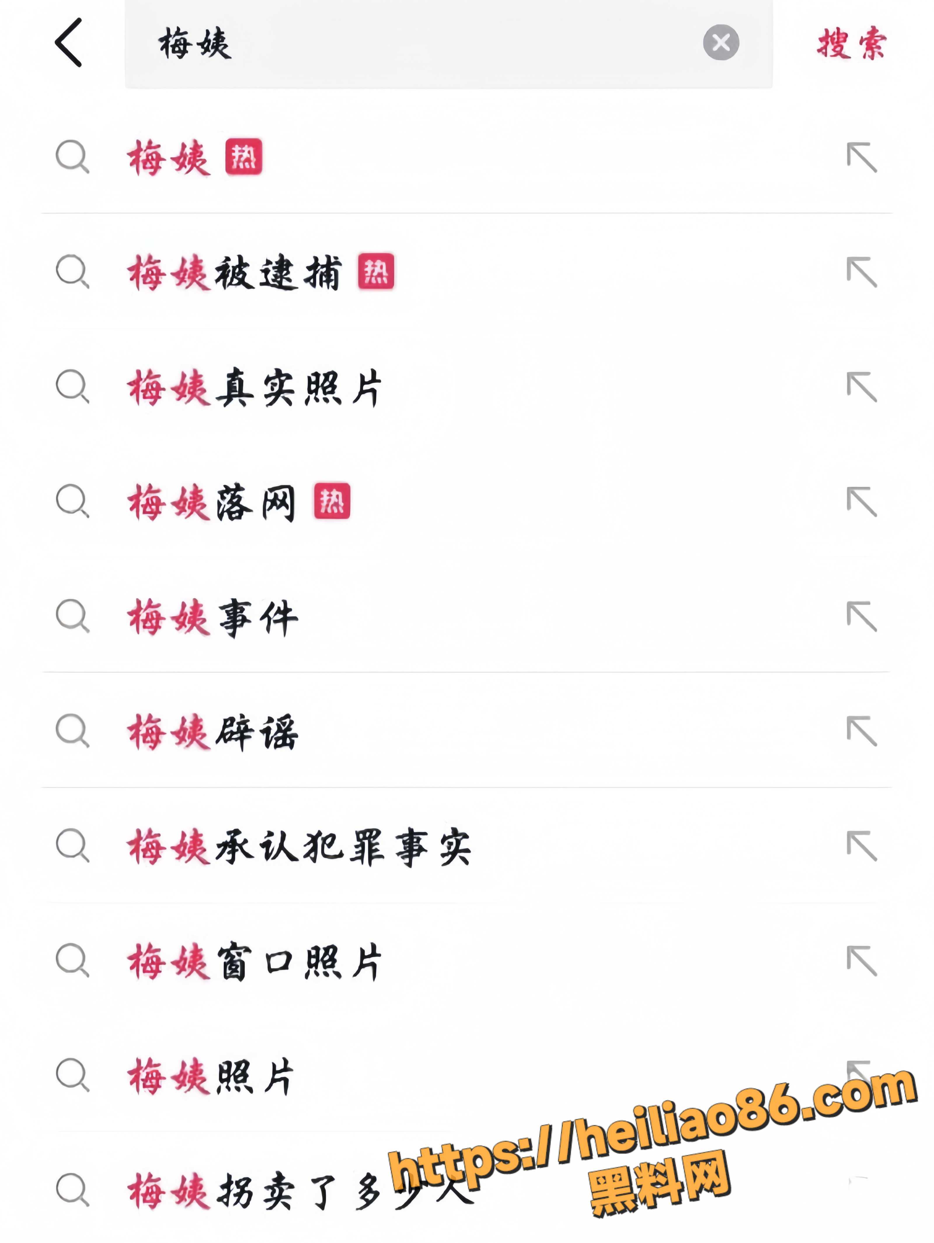 梅姨潜逃23年后落网3