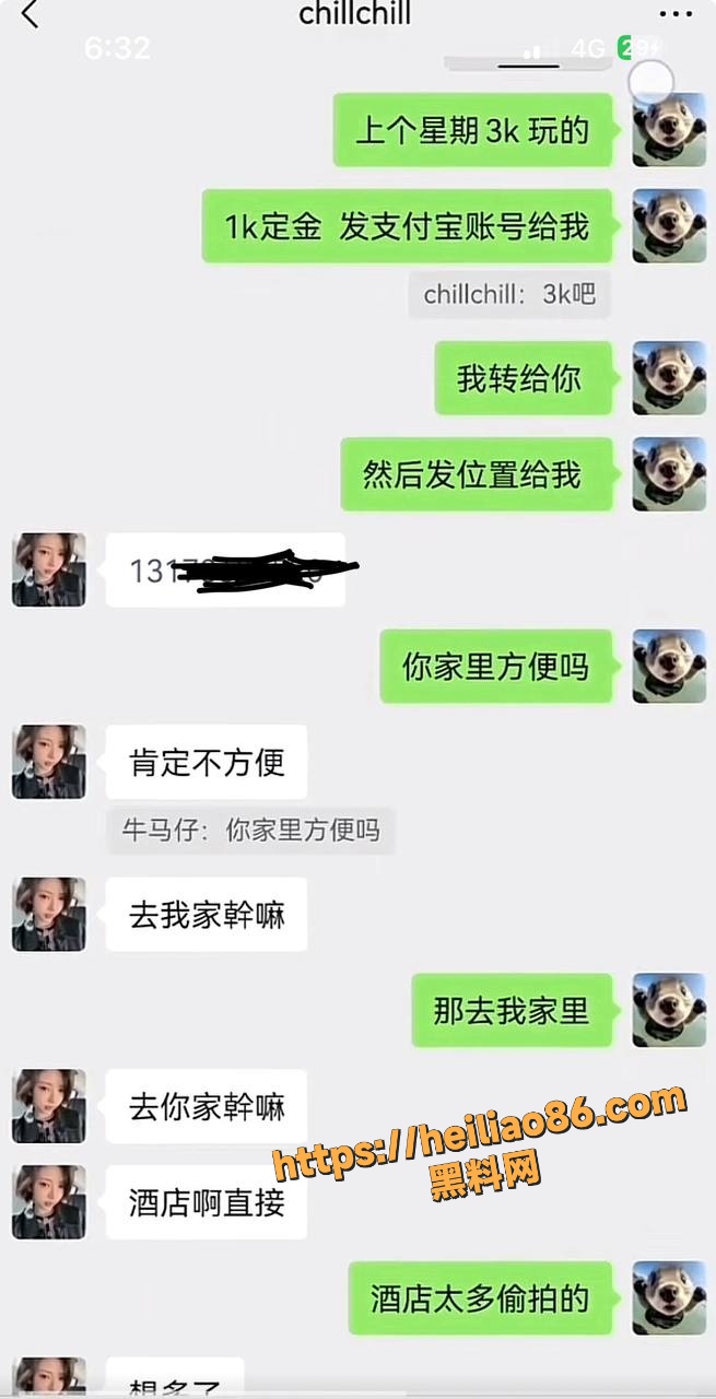 特蕾西猪猪22