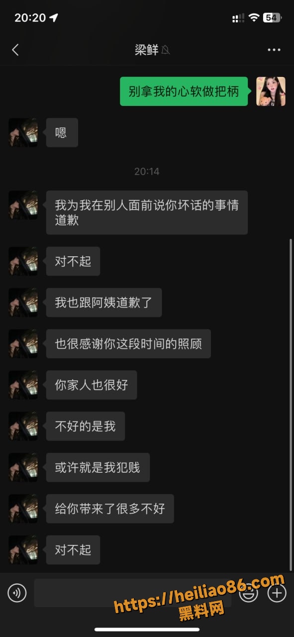 反差婊梁爽性爱视频 3
