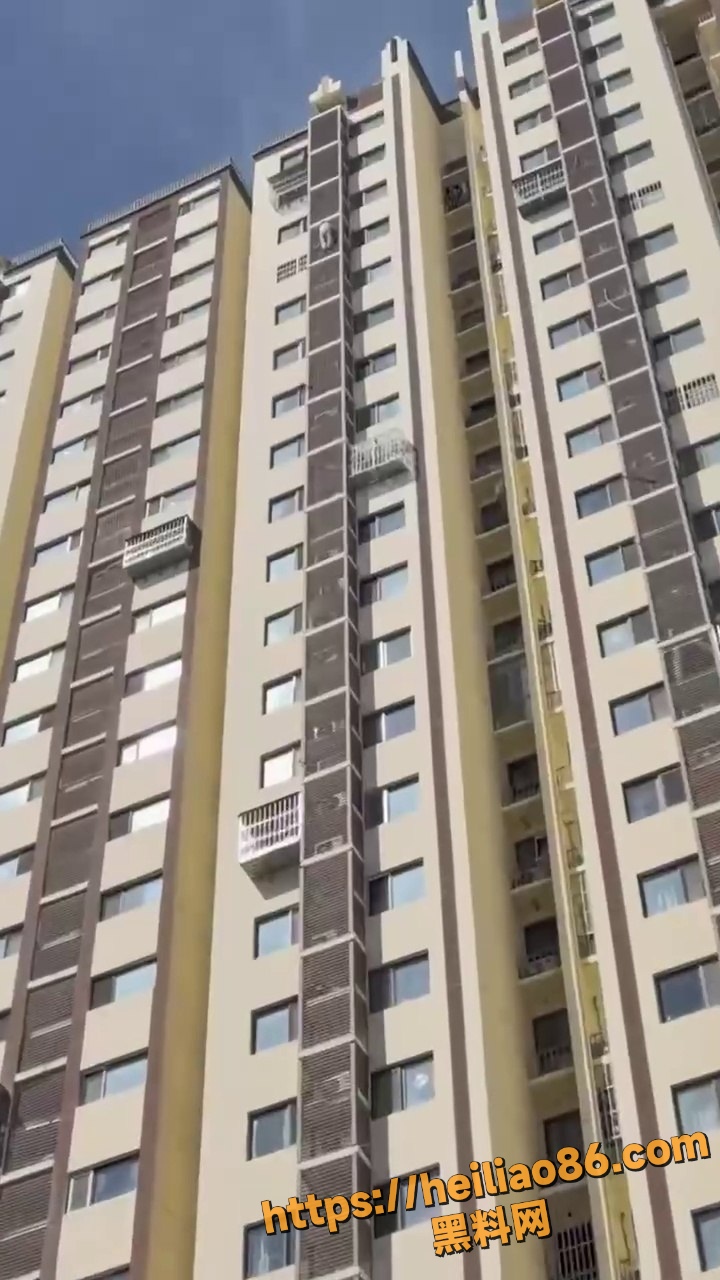 老太太爬墙现场画面1