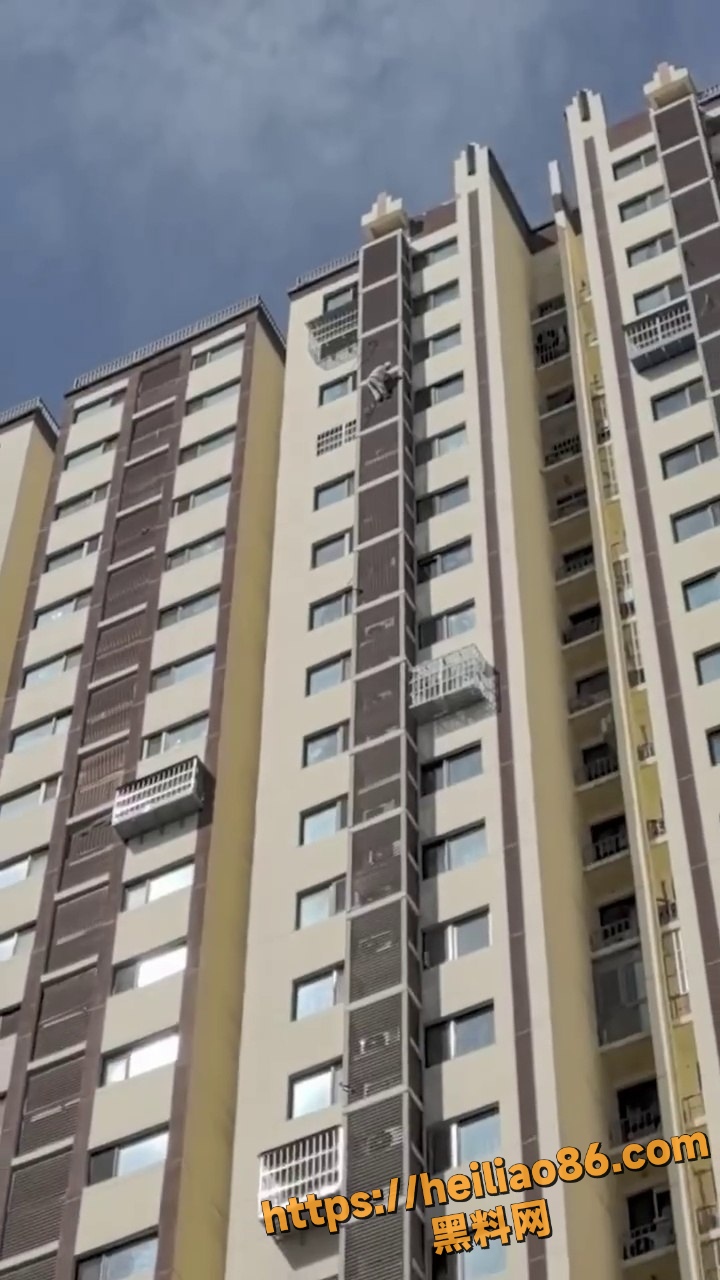 老太太高空爬墙视频2