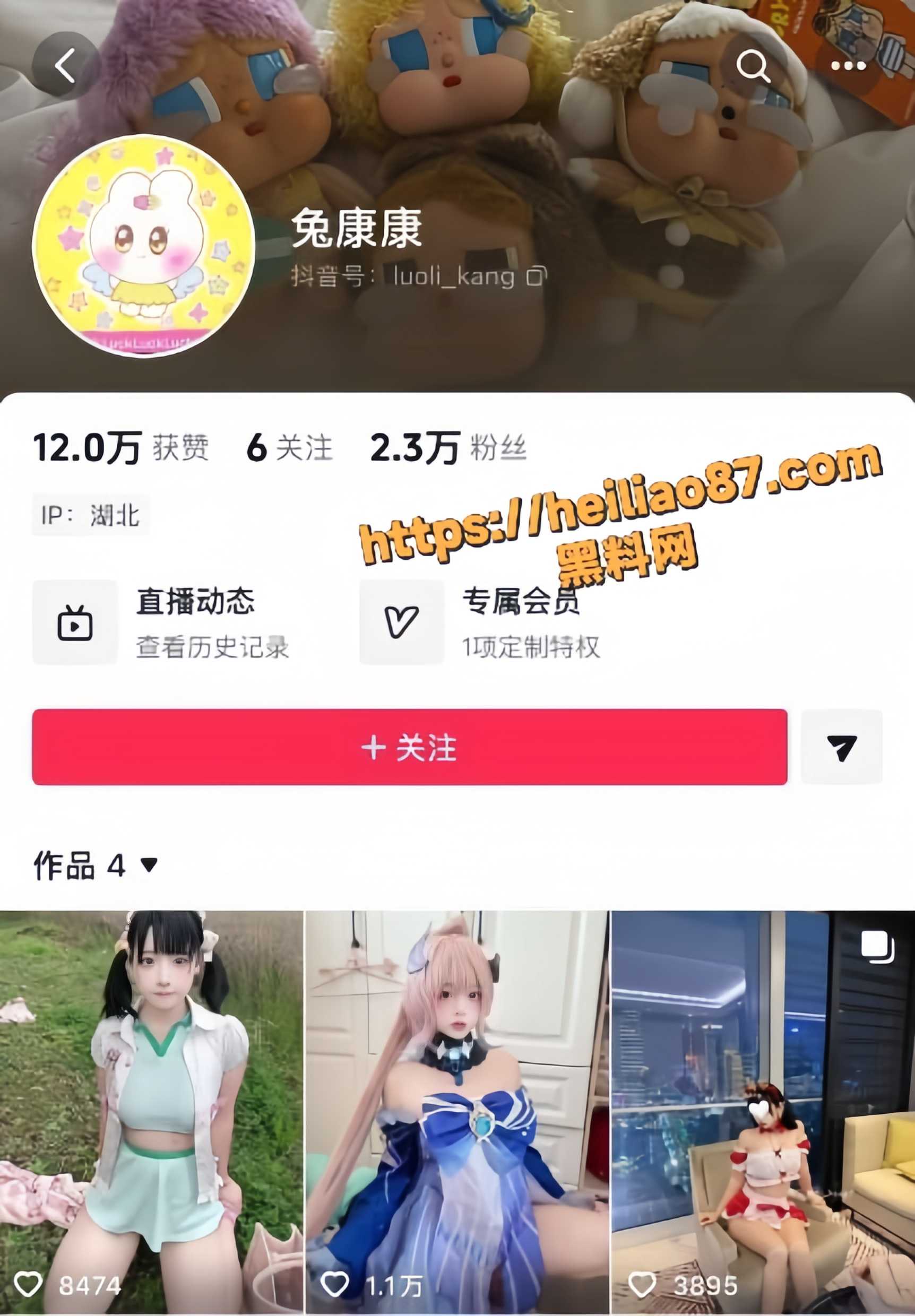 兔康康资源合集1