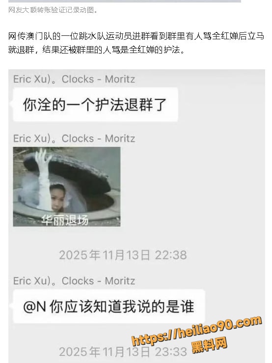 全红婵微信群被网暴3