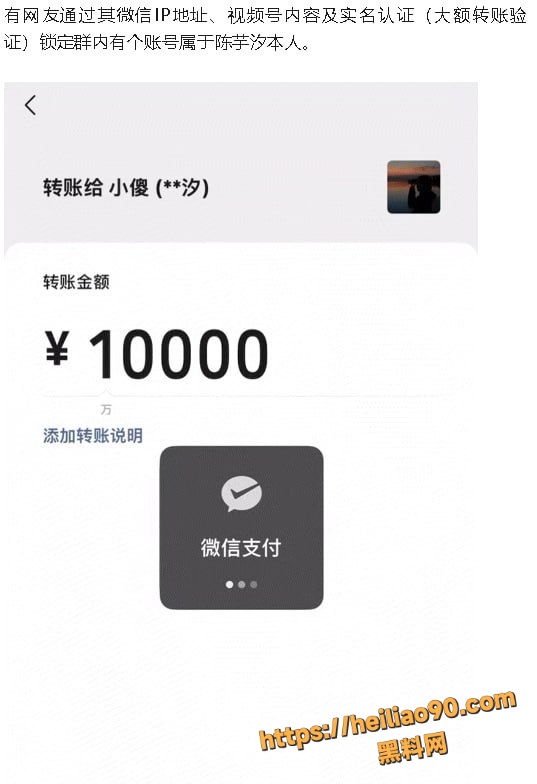 全红婵微信群被网暴5