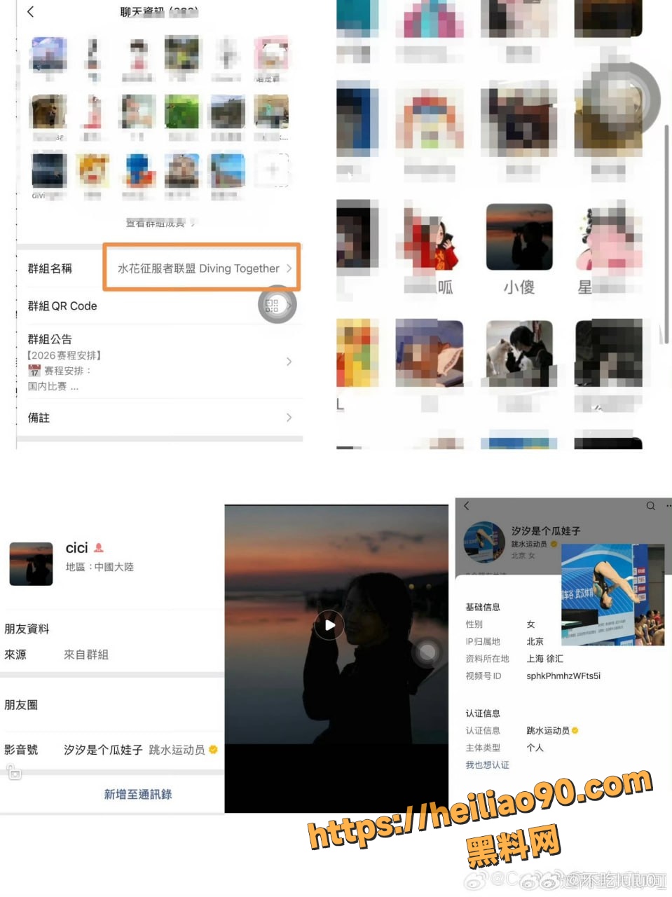 全红婵微信群被网暴14