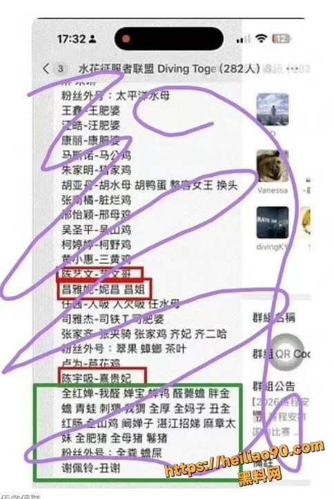 全红婵微信群被网暴15