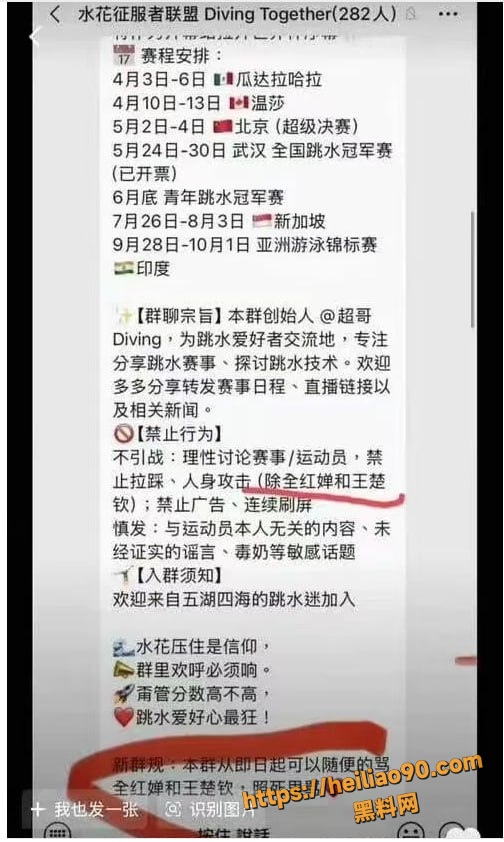 全红婵微信群被网暴16