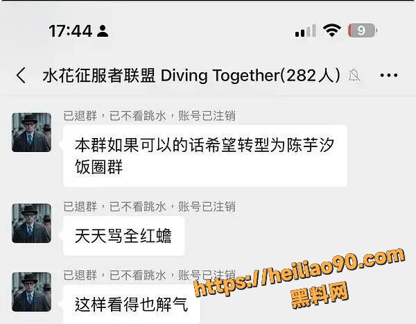 全红婵微信群被网暴17