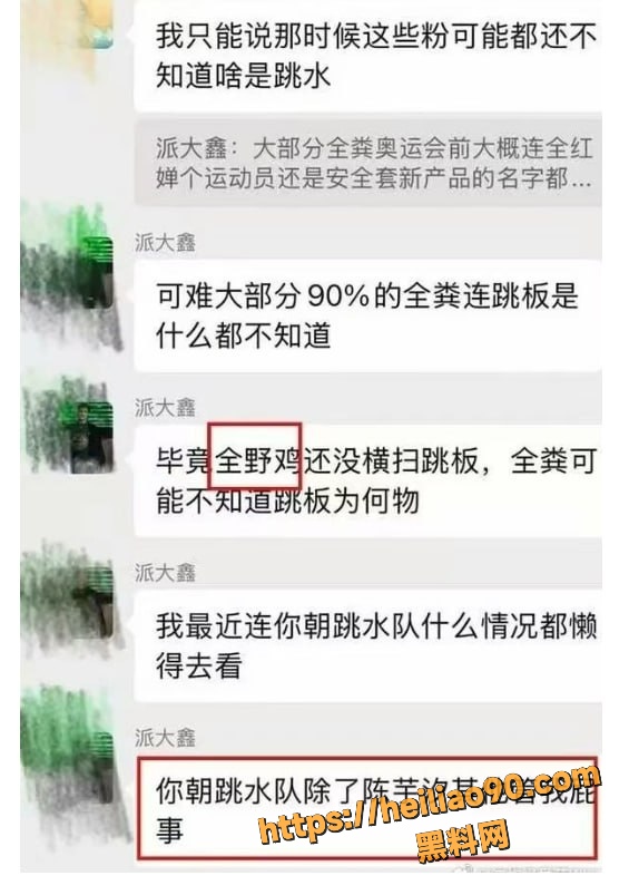 全红婵微信群被网暴21