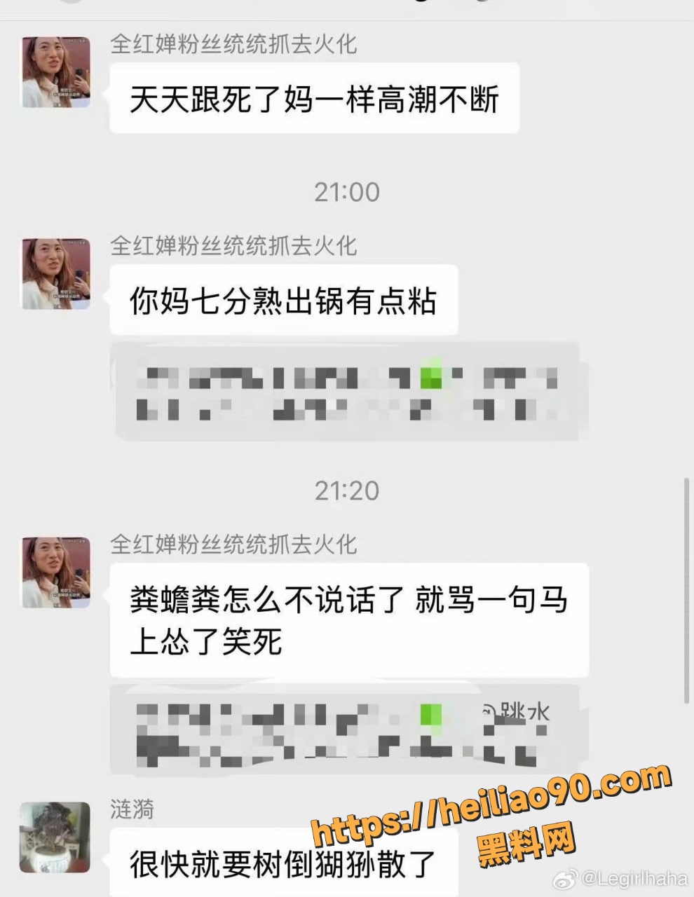 全红婵微信群被网暴22