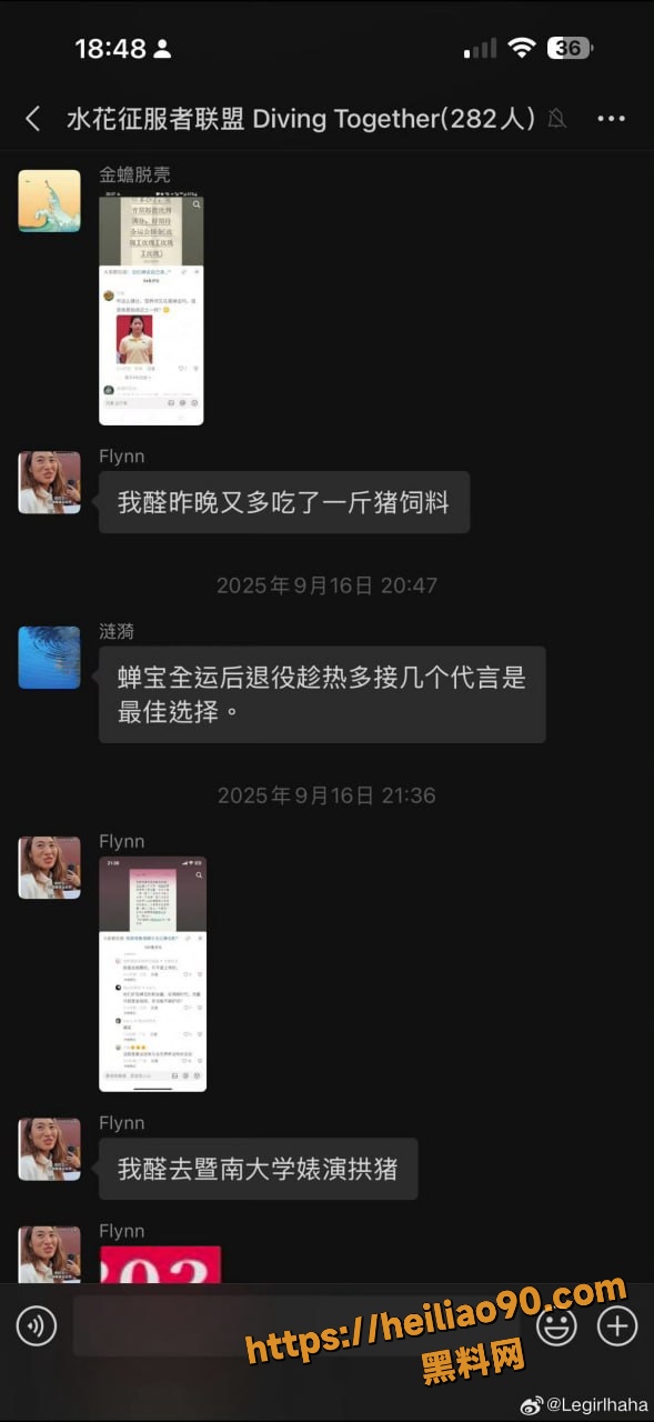 全红婵微信群被网暴24