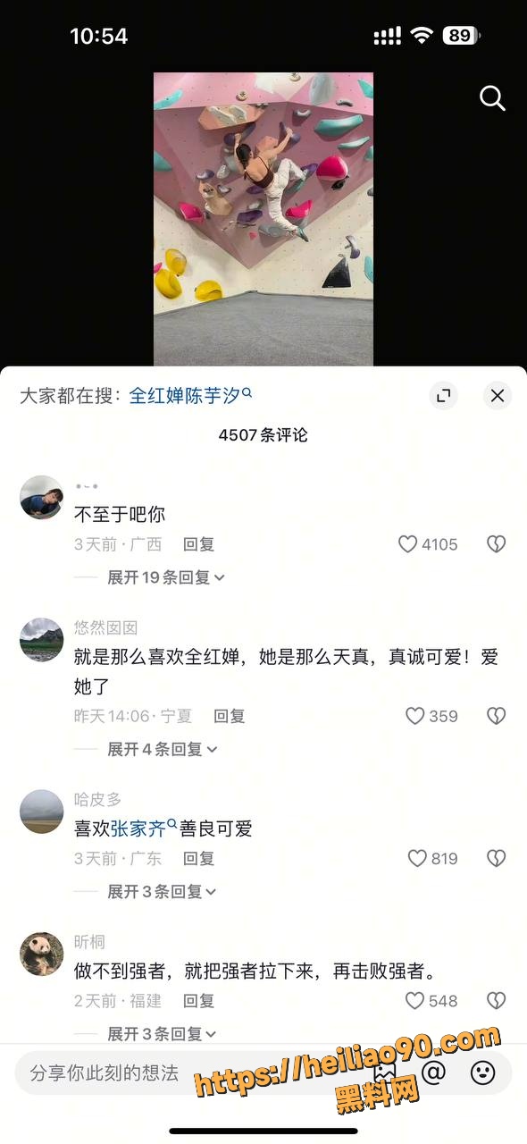 全红婵被辱骂事件30