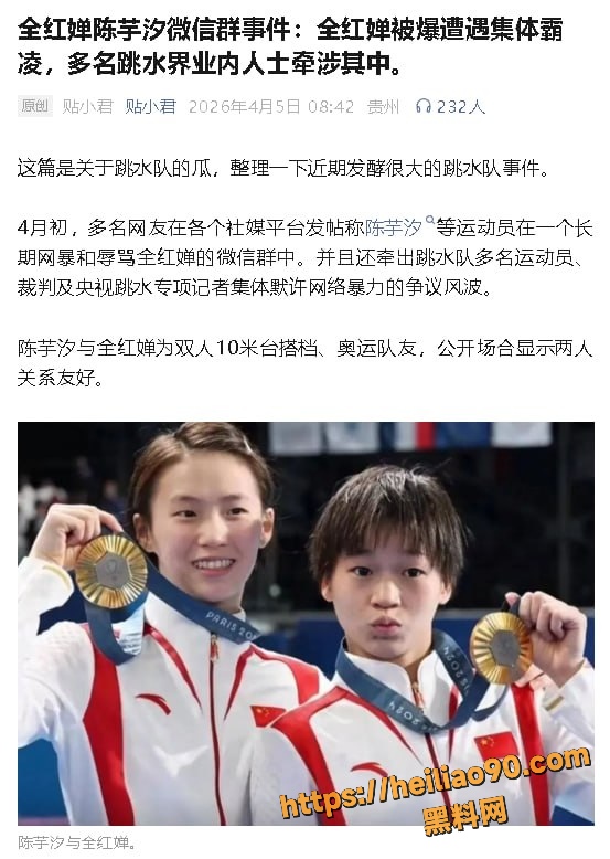 全红婵微信群被网暴1