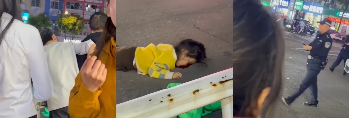 下载
