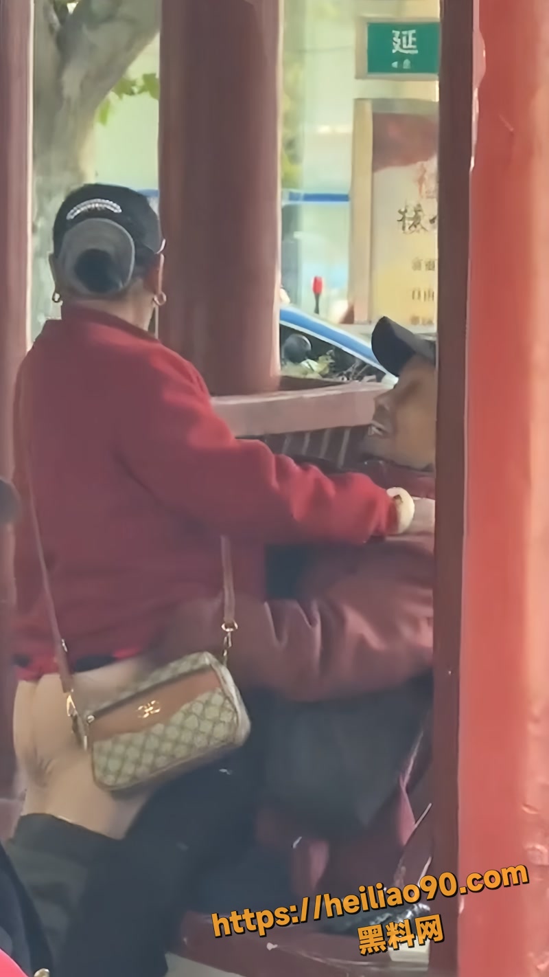 老头老妈大白天激情