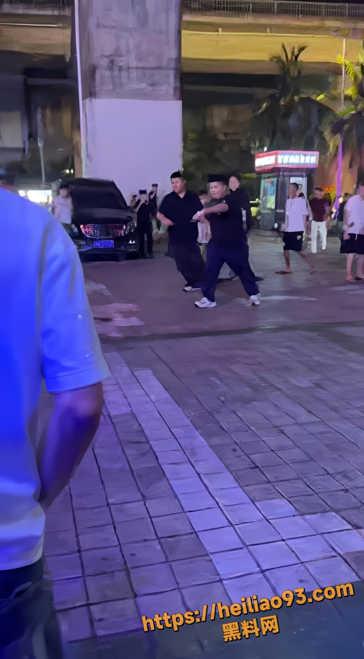 警方制服撞人司机视频3