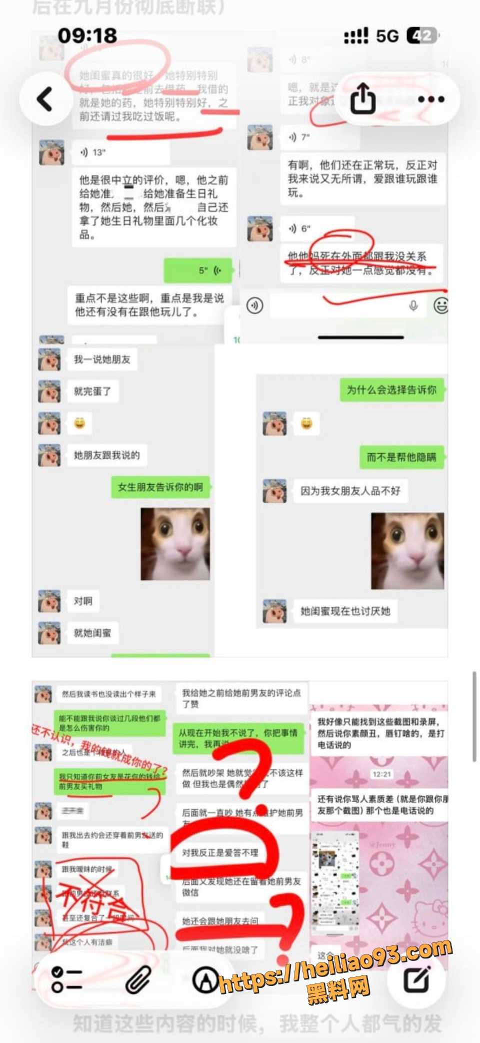 张天翼联合闺蜜恶毒抹黑事件4