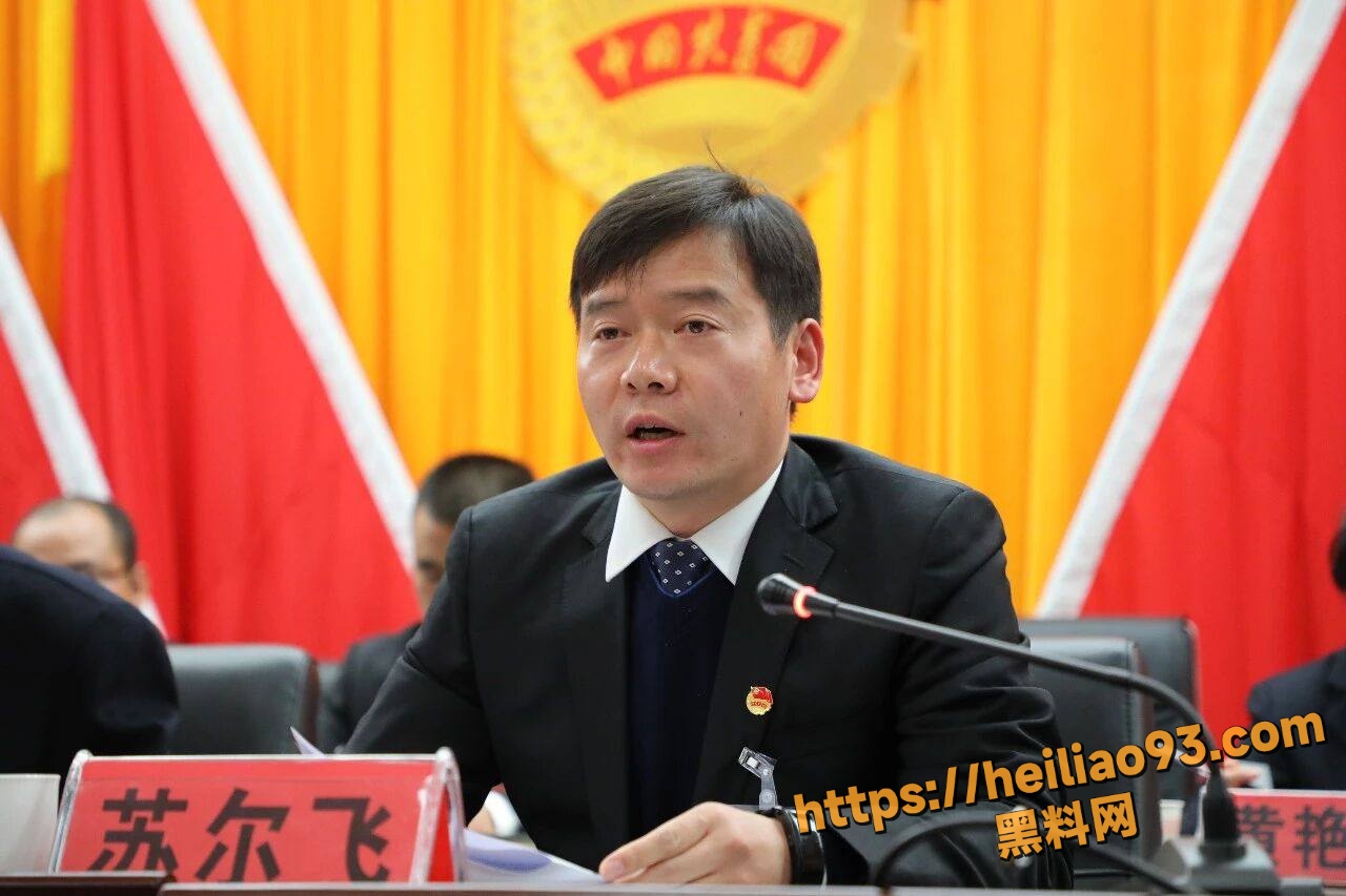 苏尔飞出轨聊天记录3