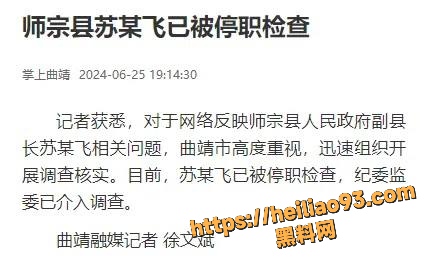 苏尔飞性爱视频12