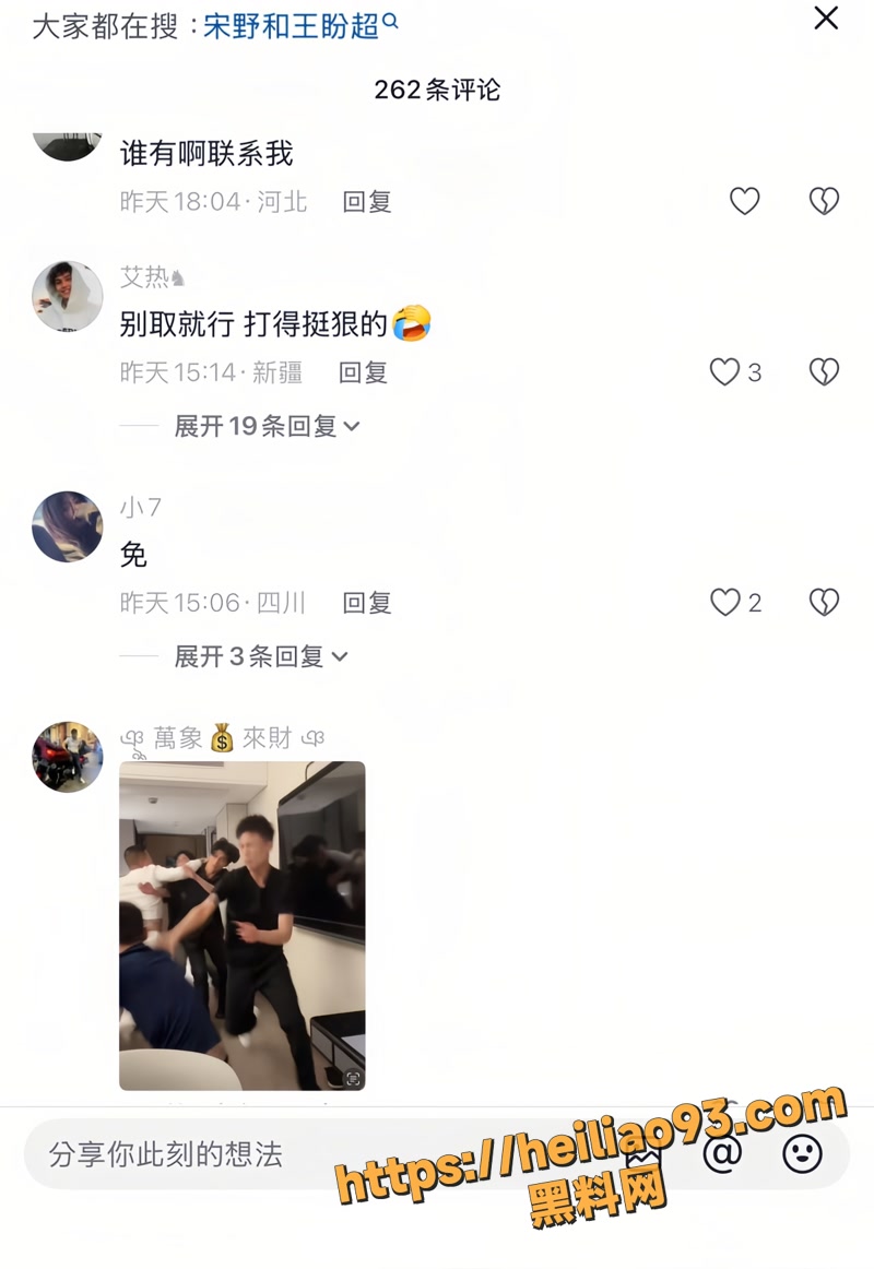 宋野 3 