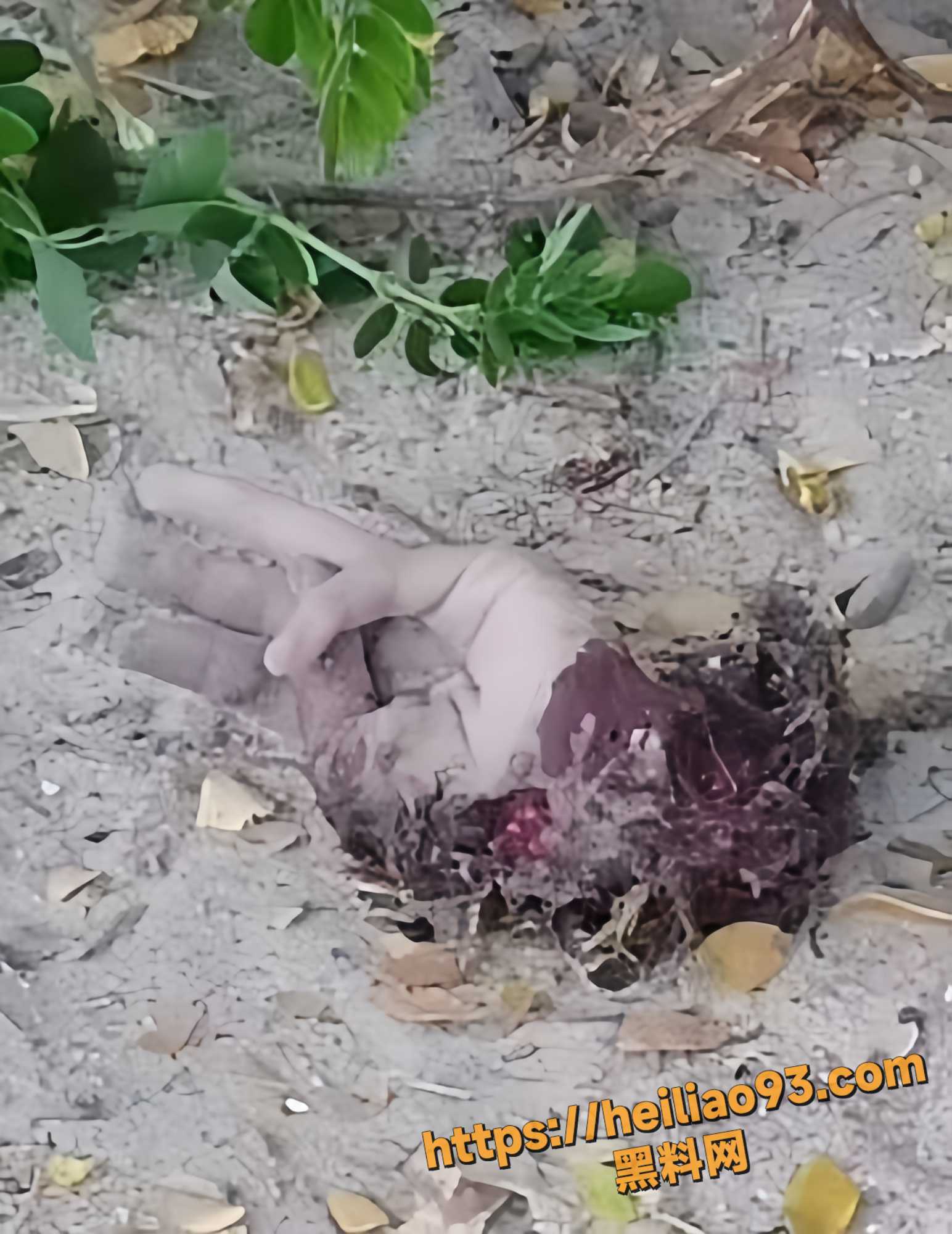 突发事故4