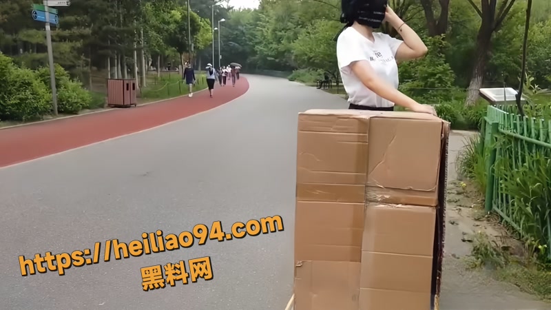 北京天使Ariel 2 