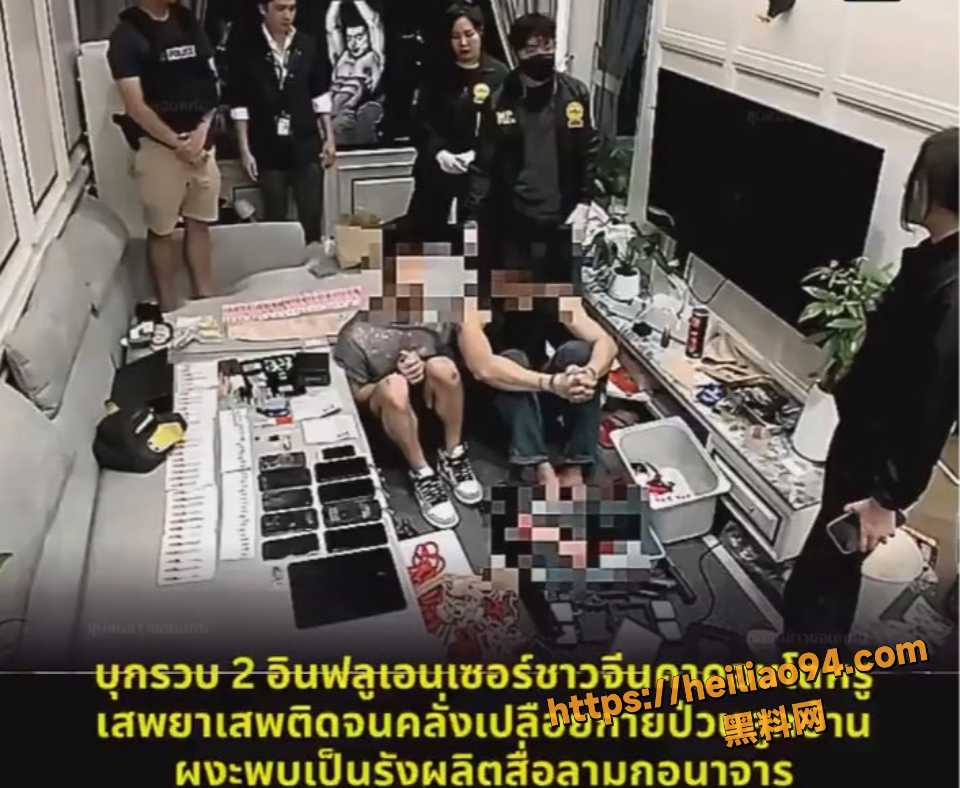 泰国公寓缴获八哥视频3