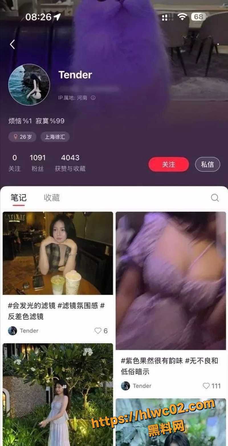 抖音拜金女Tender2