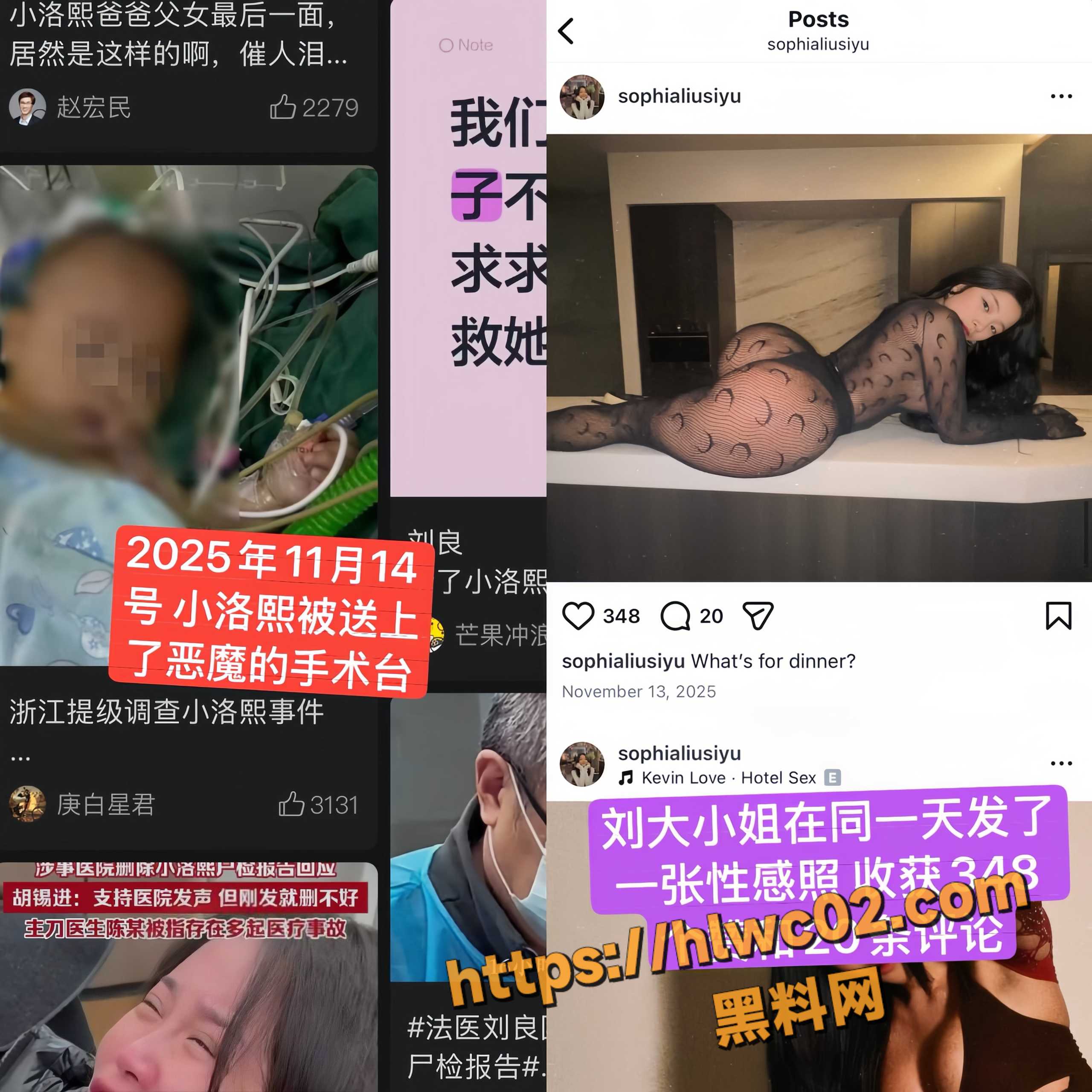  小洛熙事件幕后黑手6