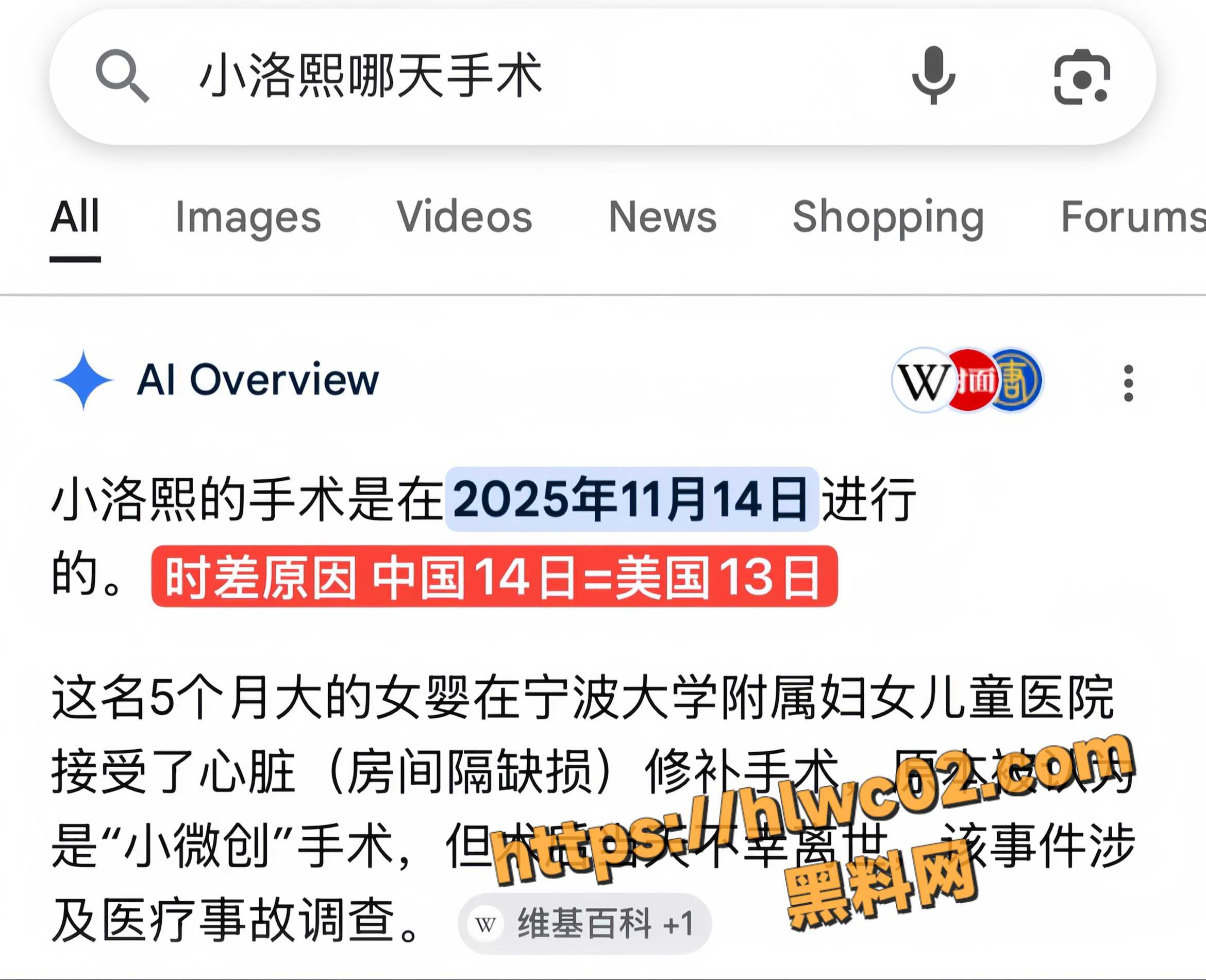  小洛熙事件幕后黑手7