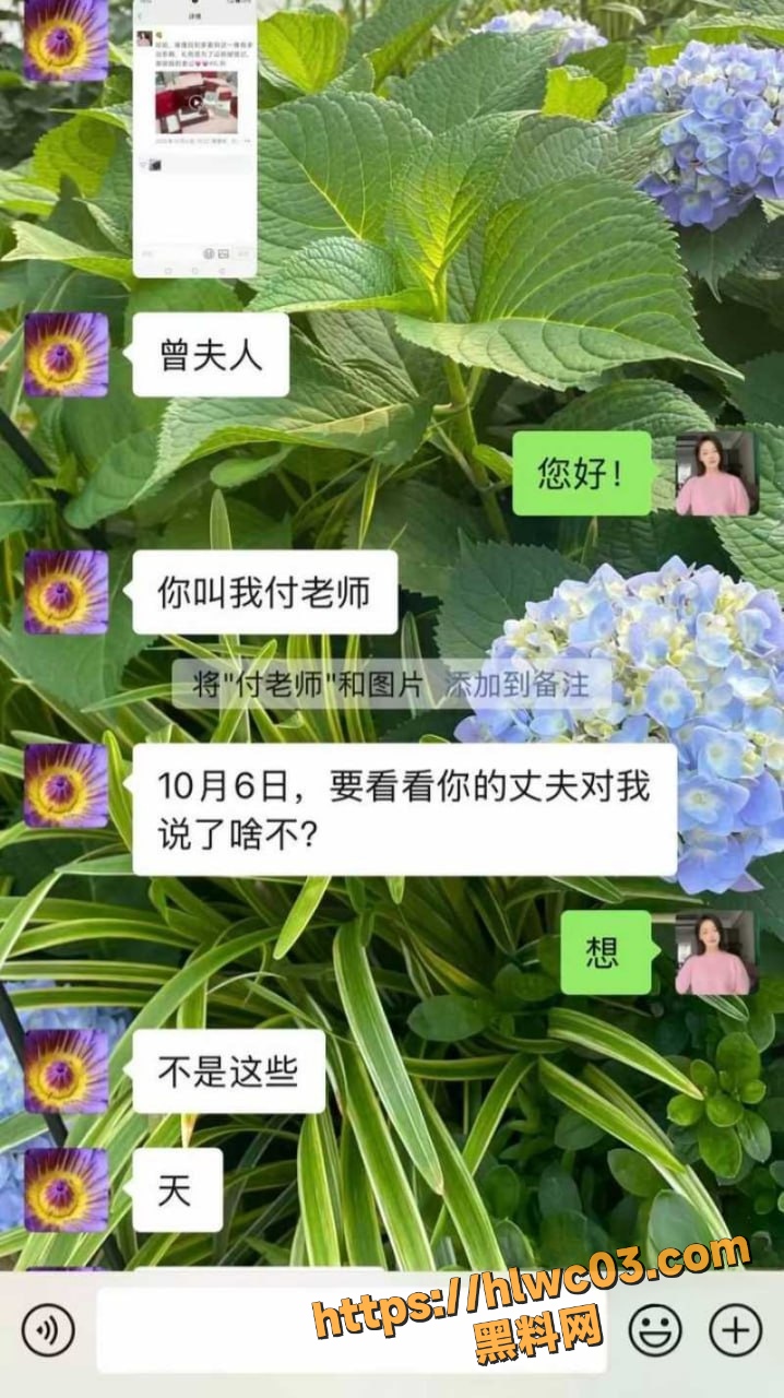 抛妻弃子22