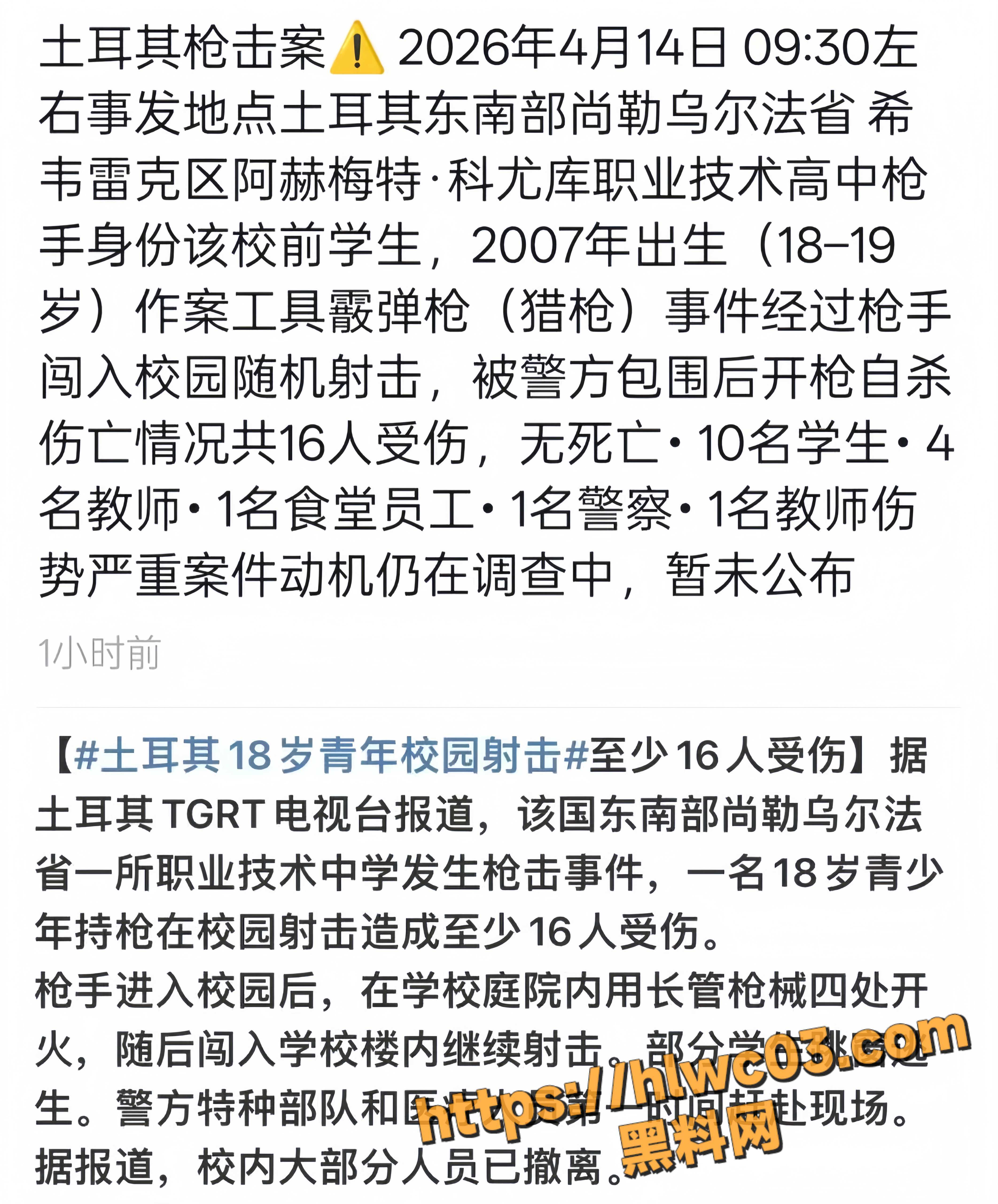 土耳其校园枪击事件1