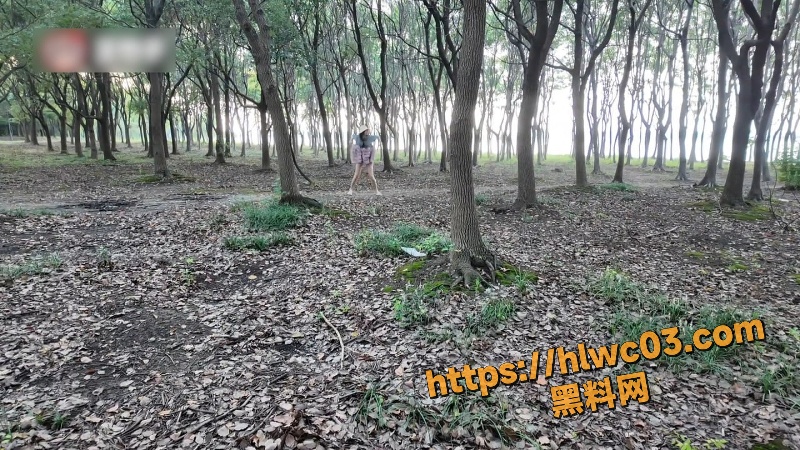 王竹子野外圣水煎牛排4