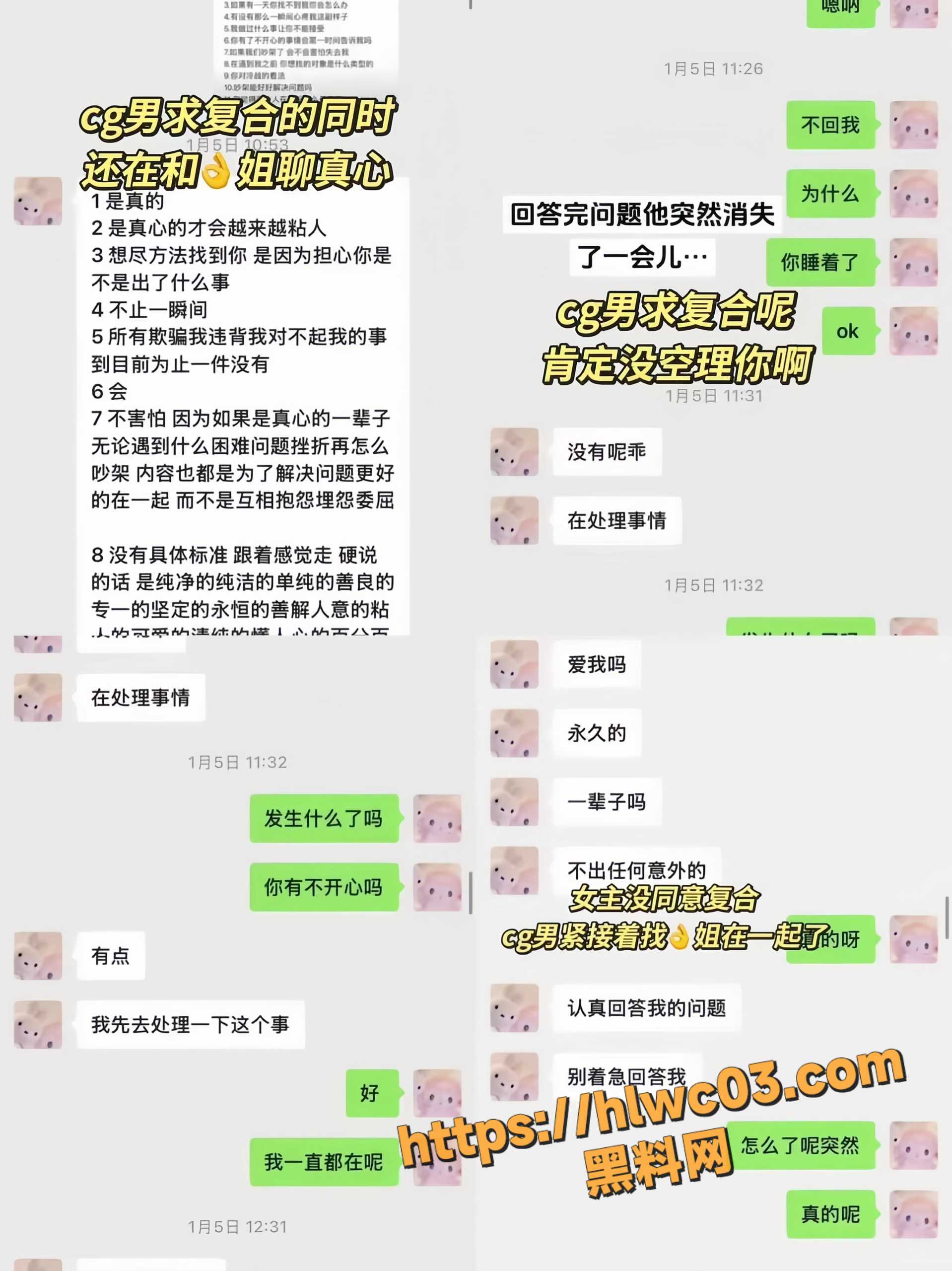 赵诚新不雅视频9