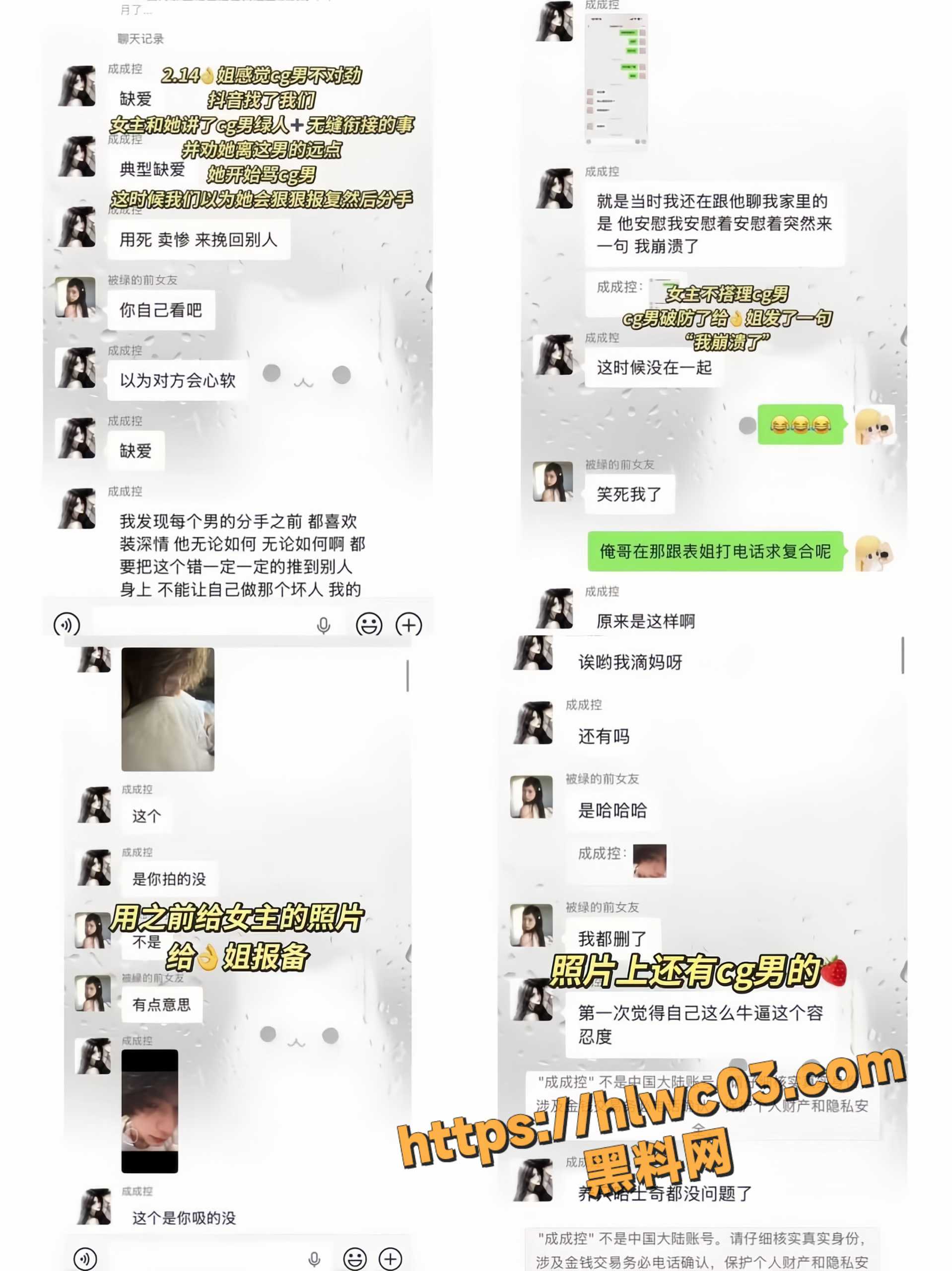 赵诚新不雅视频10