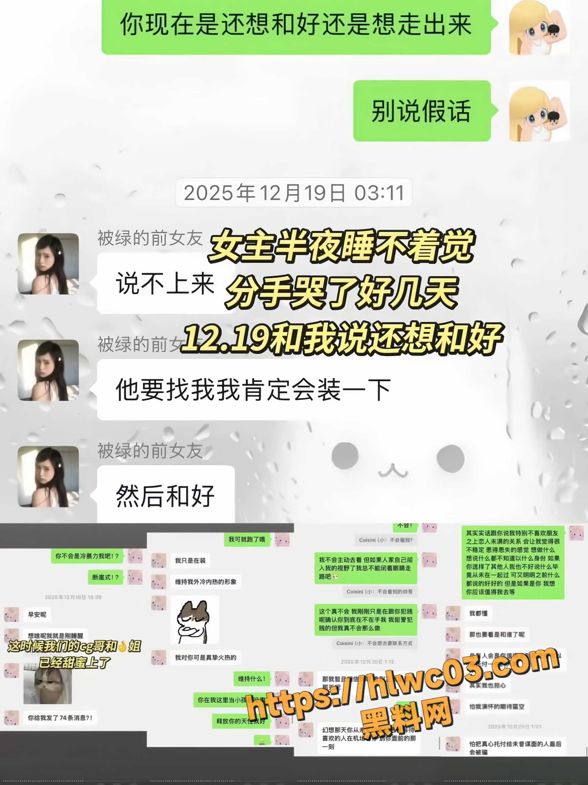 赵诚新不雅视频11