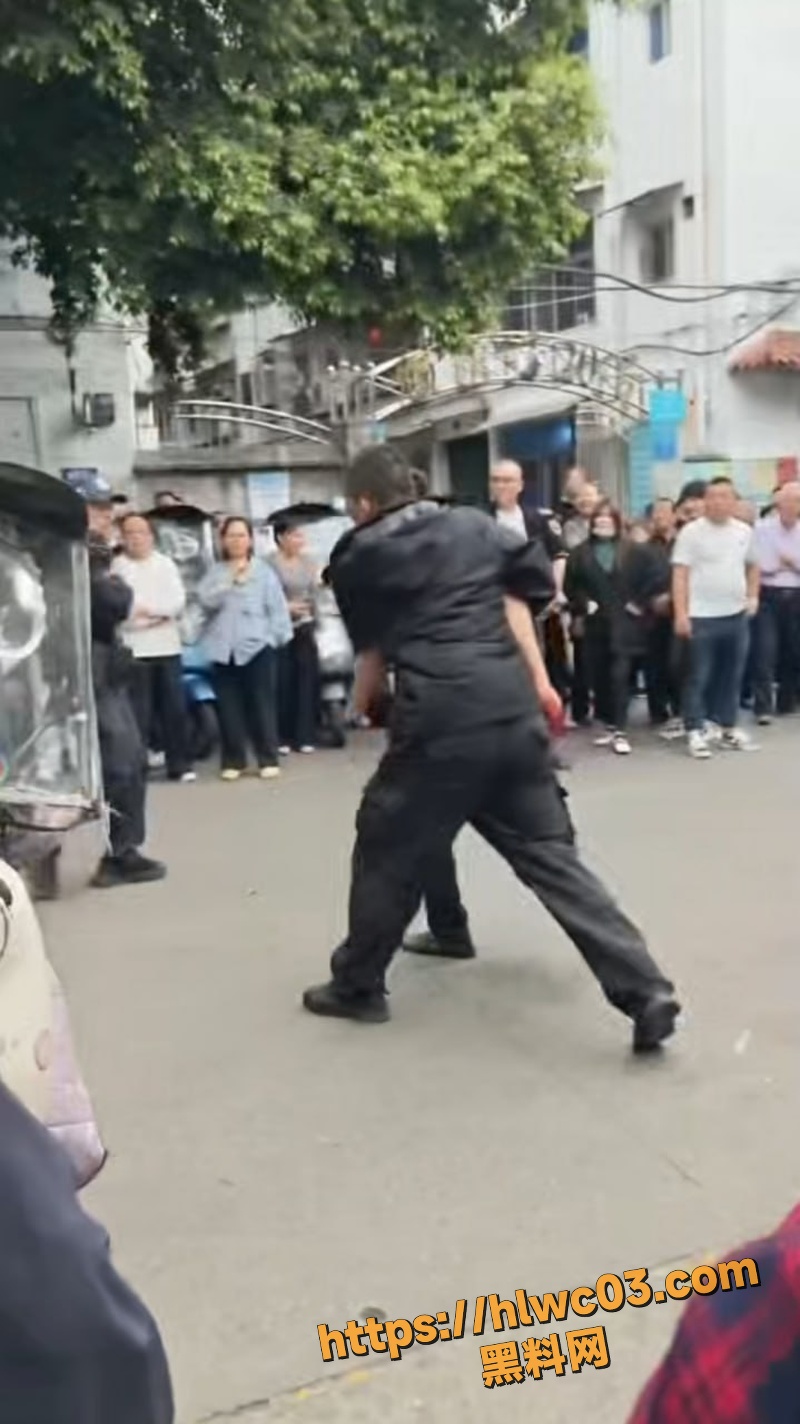四川南充街头暴力砸车4