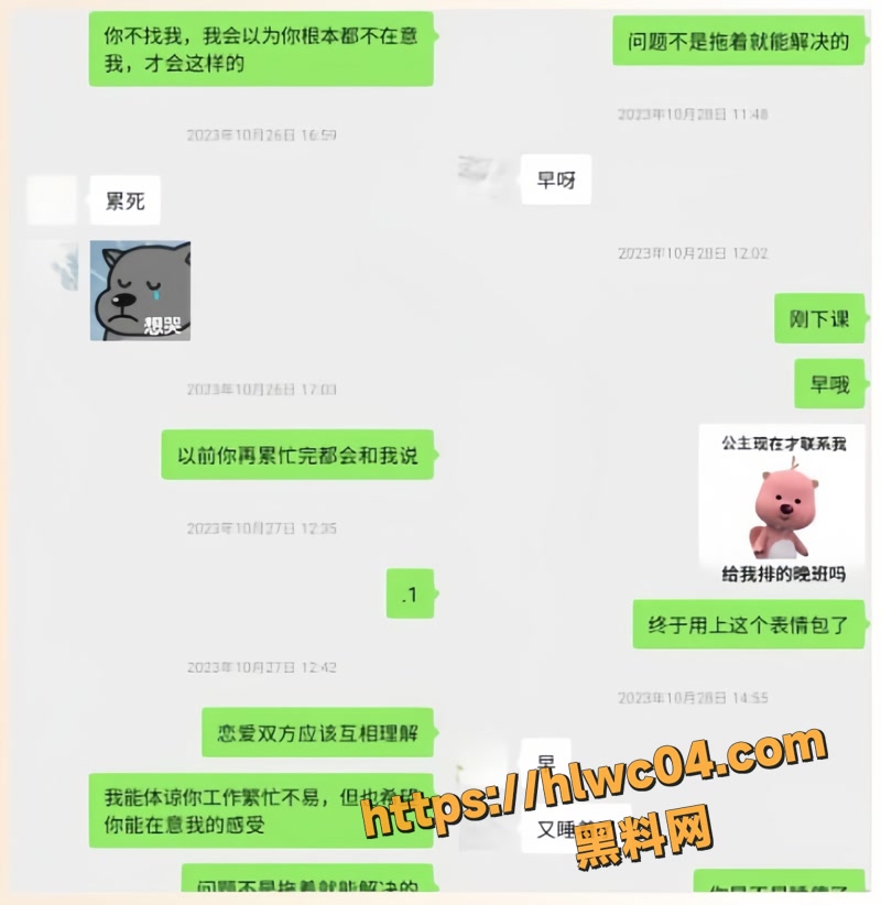 雪顶 23wm