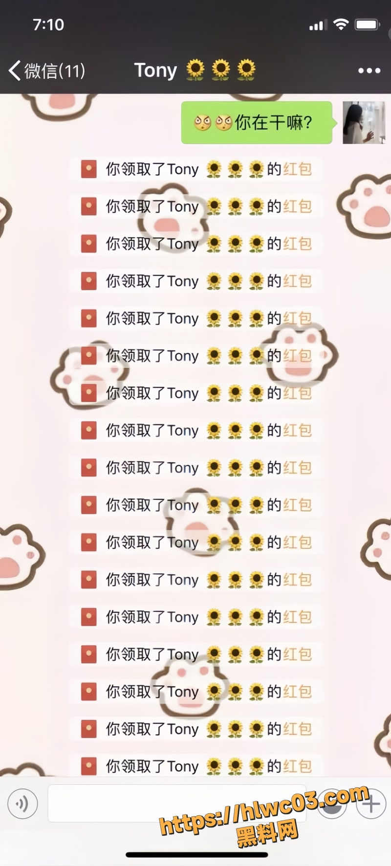 黄晴露 21wm