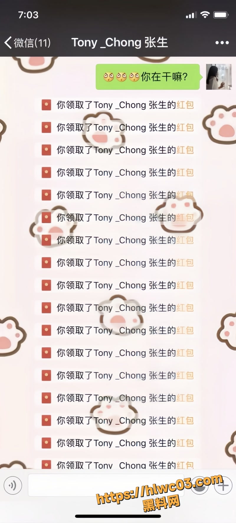 黄晴露 28wm
