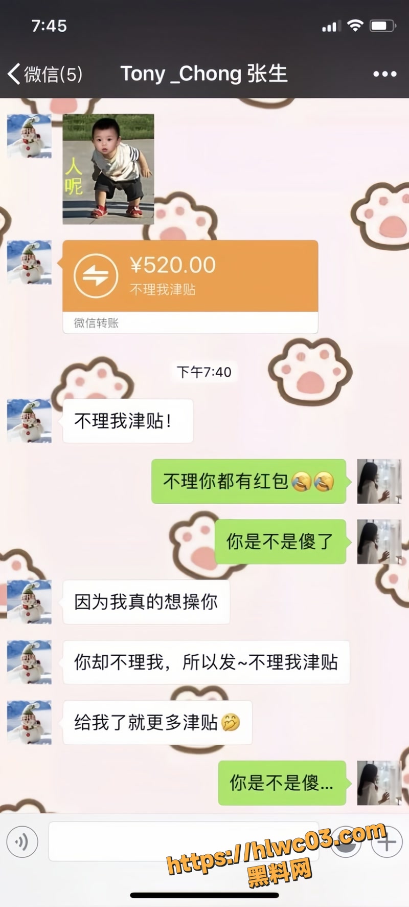 黄晴露 31wm
