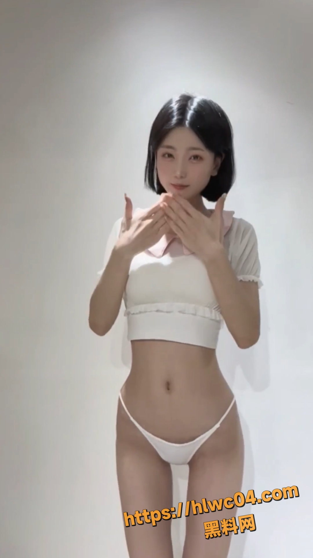 付费定制