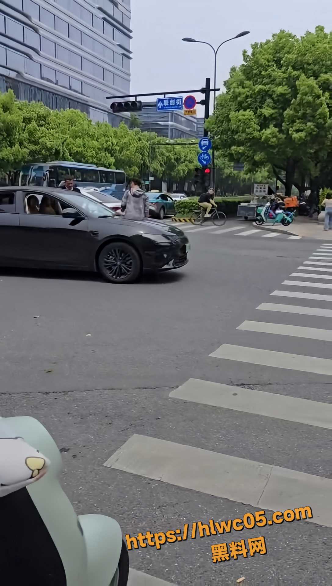 路怒症司机与行人互殴3