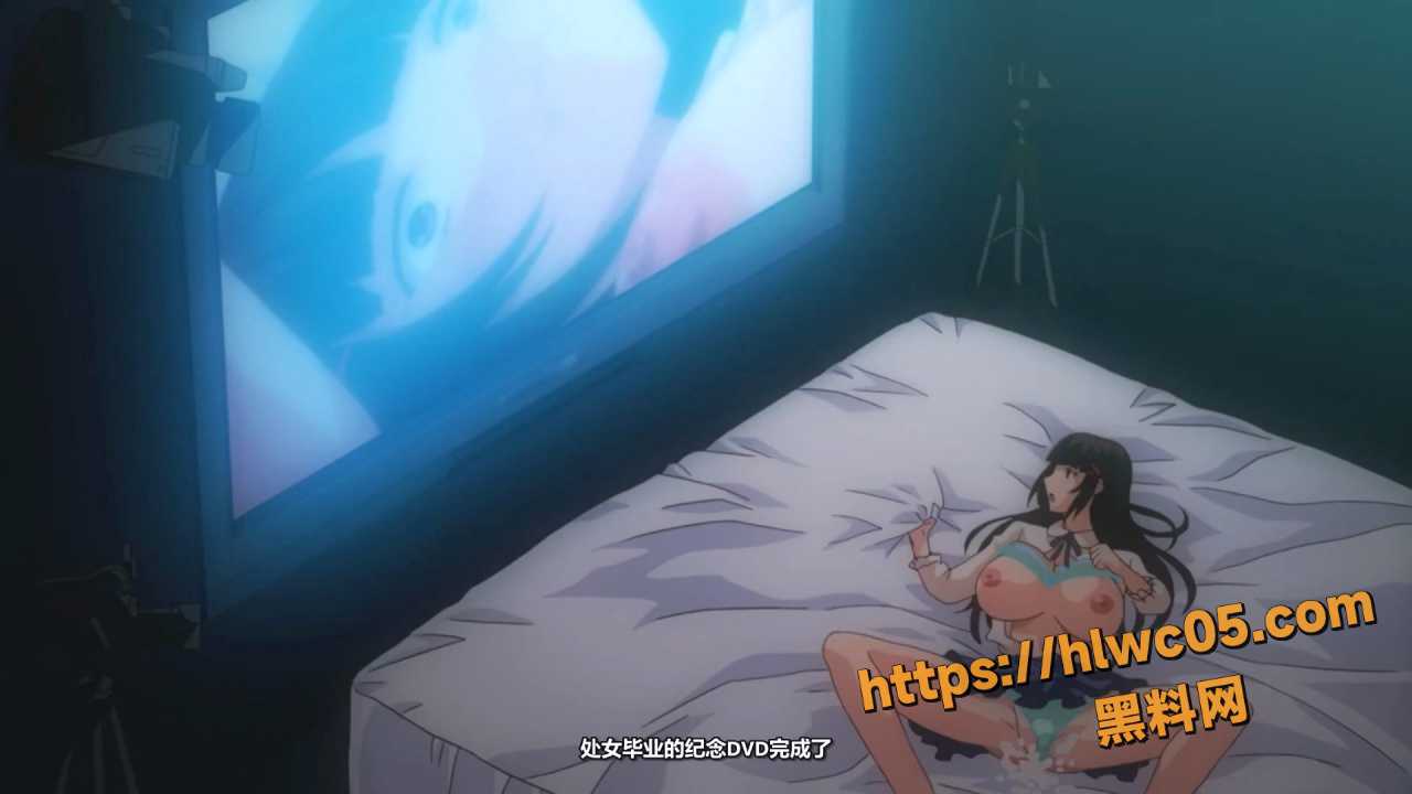H版动漫