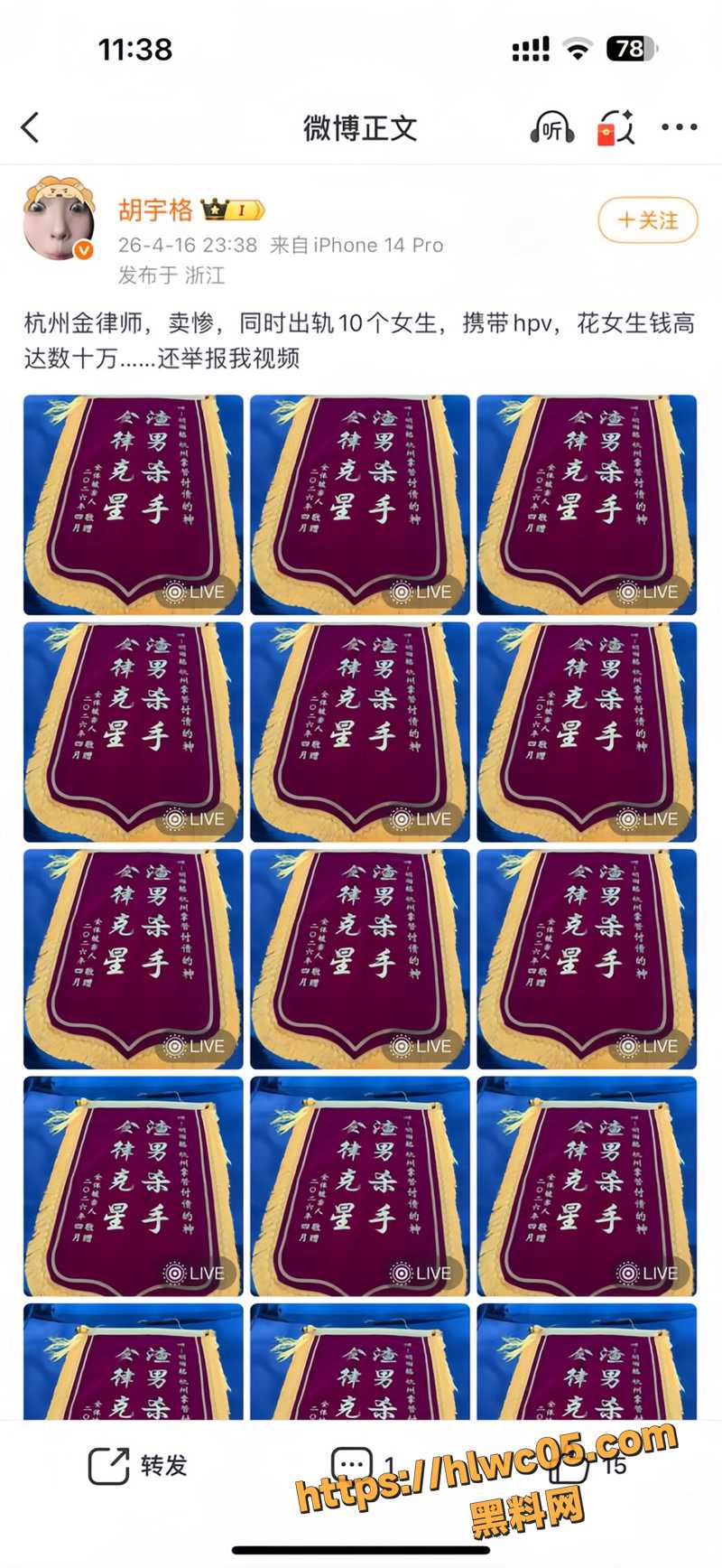 金天龙情感骗局