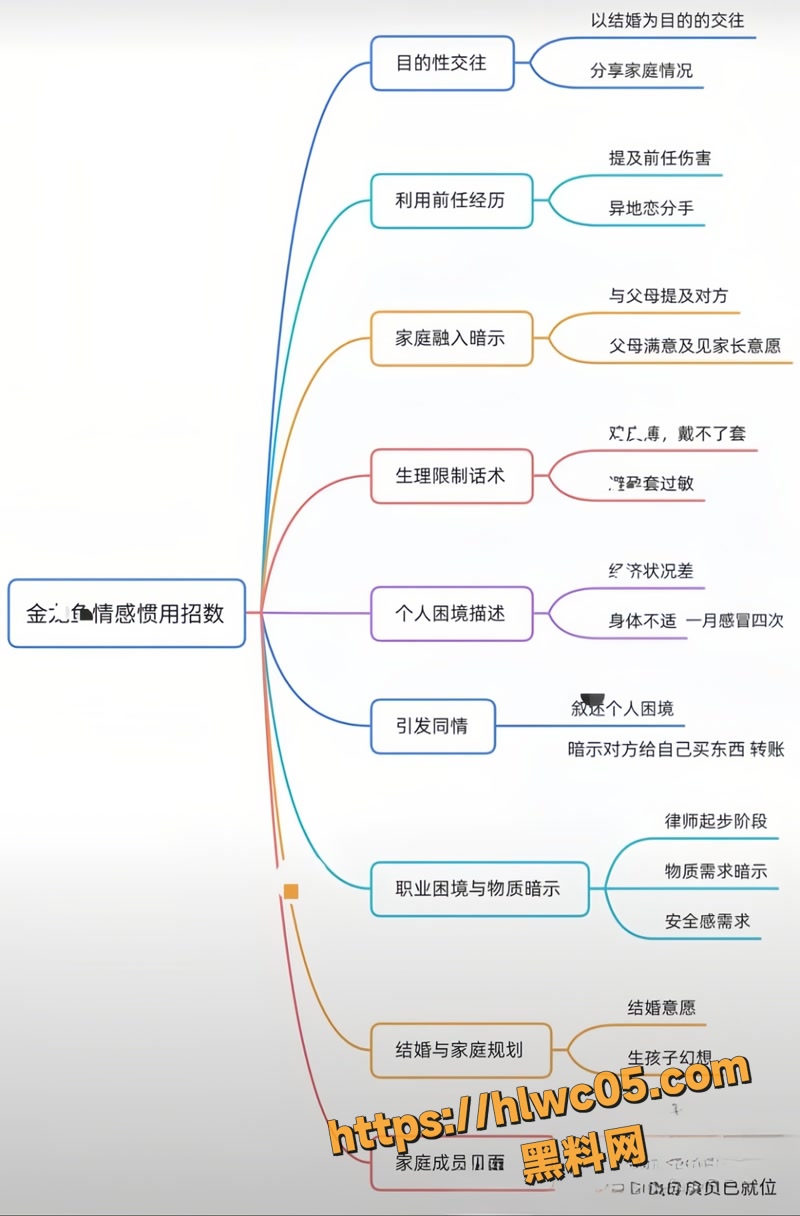 金律师