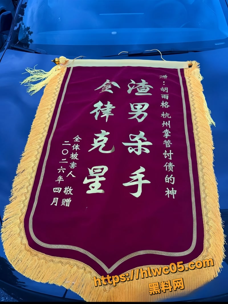 金天龙 11wm